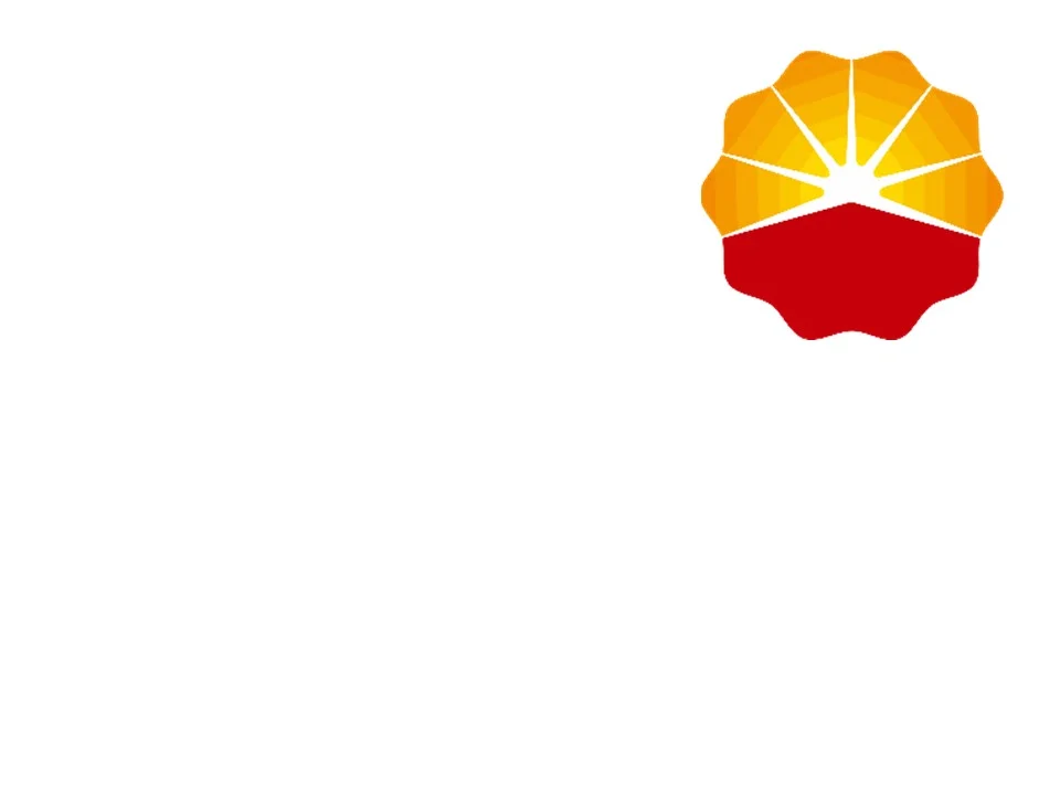 Dokumen CSMS PetroChina