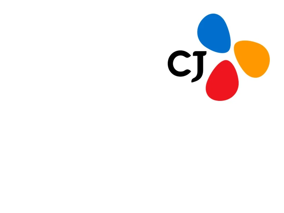 Dokumen CSMS PT Cheil Jedang Indonesia