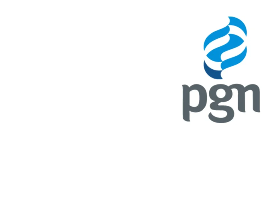 Dokumen CSMS PT PGN